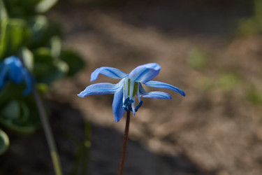 Similar image 21538565