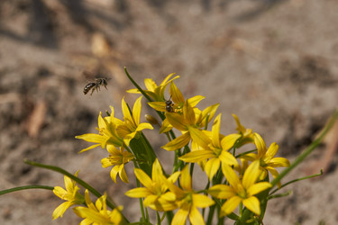 Similar image 21545826