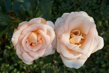 Similar image 21535817