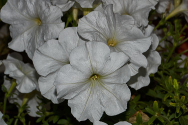 Similar image 21538566