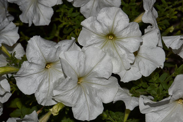 Similar image 21537788