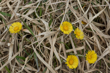 Similar image 21538567