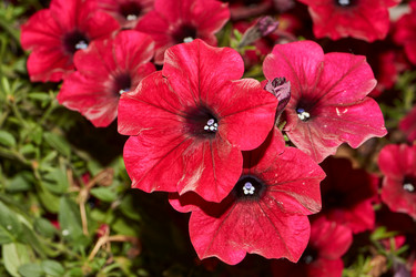 Similar image 21539288