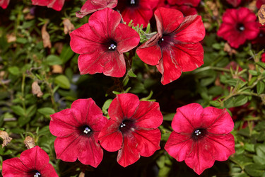 Similar image 21537789