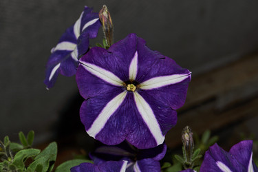 Similar image 21535555