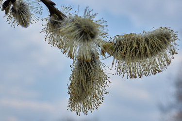 Similar image 21535556