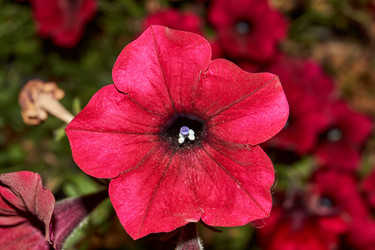 Similar image 21535557