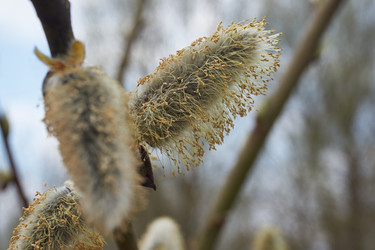 Similar image 21538568