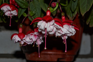 Similar image 21539903