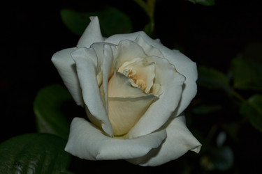 Similar image 21537790