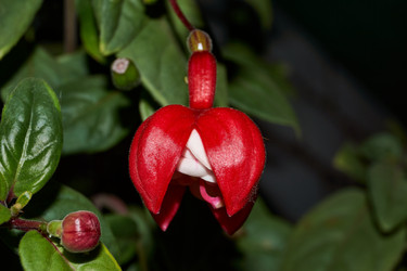 Similar image 21539290