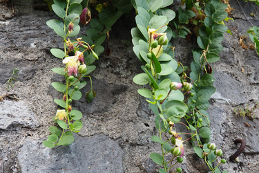 Similar image 21538572