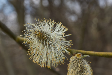 Similar image 21538573