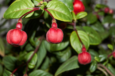 Similar image 21535819