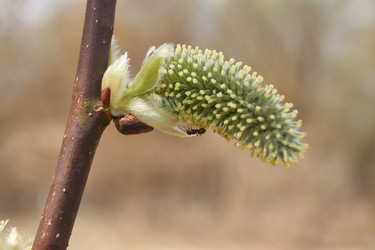 Similar image 21540020