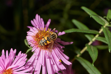 Similar image 21537791