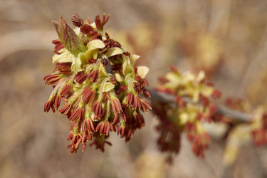 Similar image 21540021