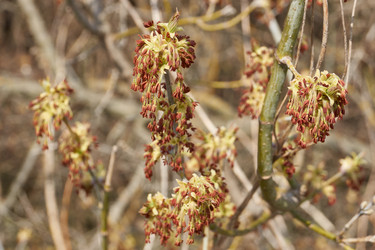 Similar image 21537792