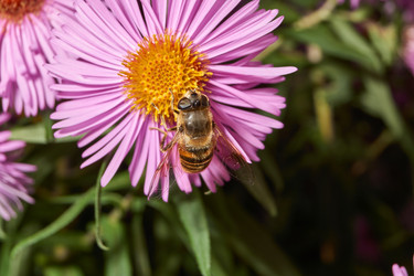 Similar image 21535558