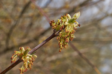 Similar image 21539905