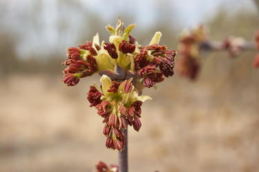 Similar image 21538575