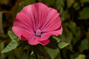 Similar image 21537794