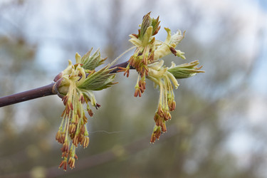 Similar image 21545829