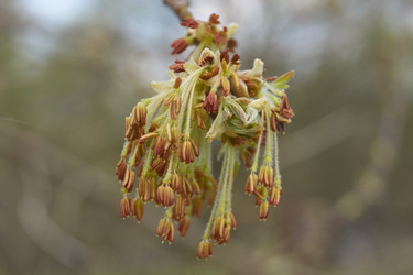 Similar image 21542526