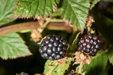 Similar image 21536151