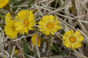 Similar image 21536152