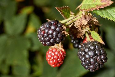 Similar image 21535806