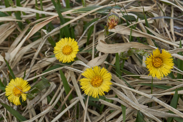 Similar image 21542527