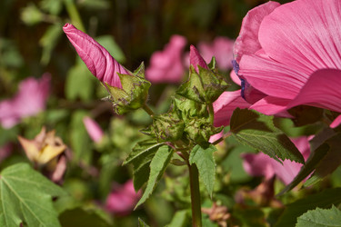 Similar image 21536153