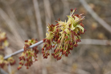 Similar image 21536154