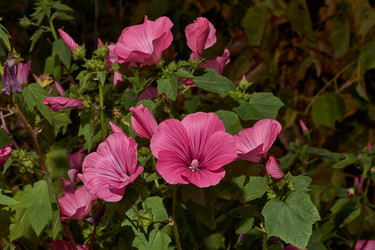 Similar image 21535807