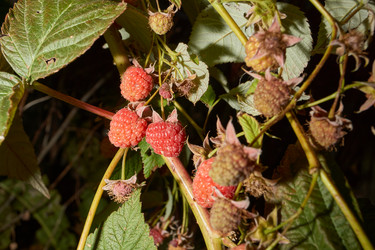 Similar image 21539907