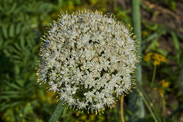 Similar image 21536155