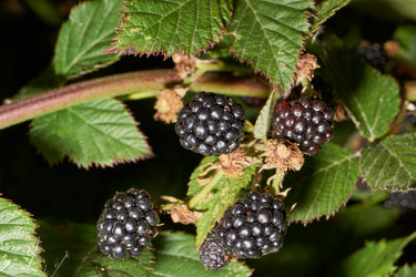 Similar image 21537797