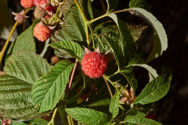 Similar image 21538577