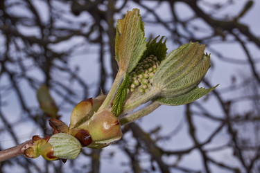 Similar image 21542529