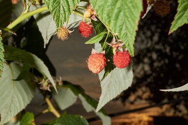 Similar image 21539293