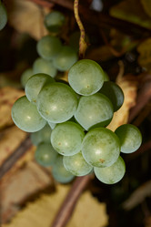 Similar image 21545830