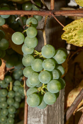 Similar image 21539294