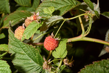 Similar image 21535562