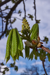 Similar image 21539908