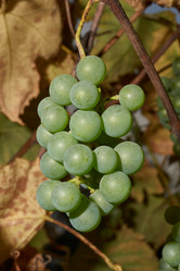 Similar image 21542530