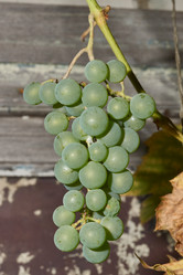 Similar image 21535823