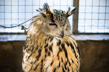 Similar image 21535564