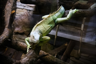 Similar image 21535737