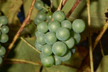 Similar image 21537799